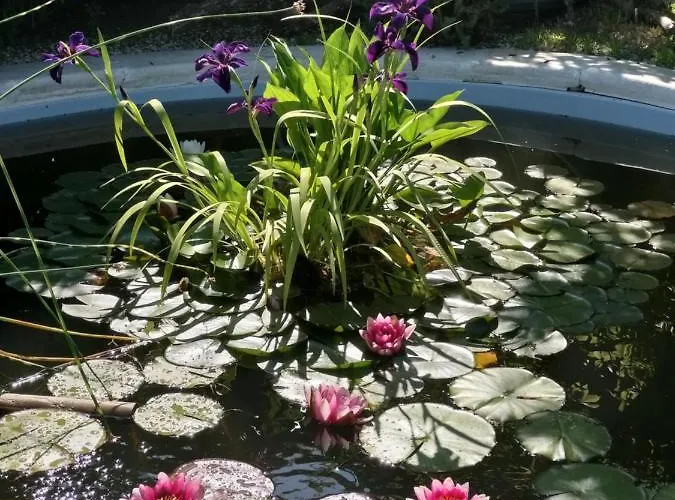 Летний дом La Corte Del Macero Кастельфранко-Эмилия