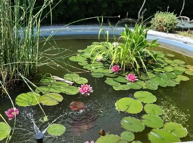 La Corte Del Macero Летний дом Кастельфранко-Эмилия