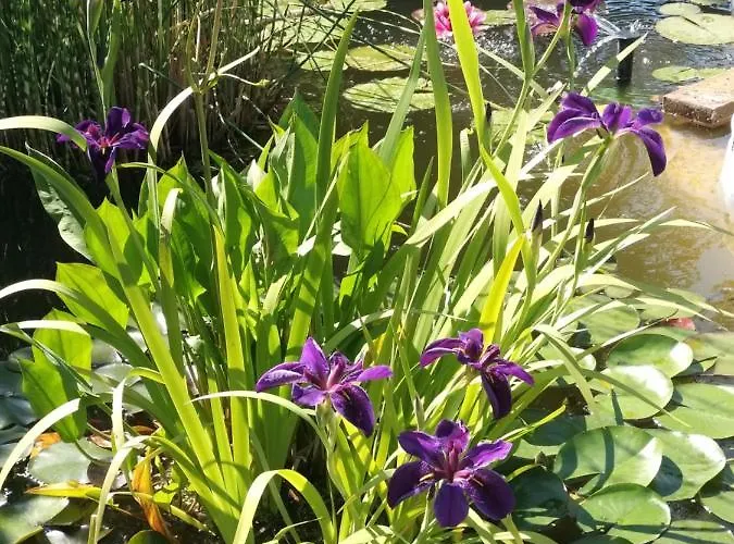 La Corte Del Macero Кастельфранко-Эмилия