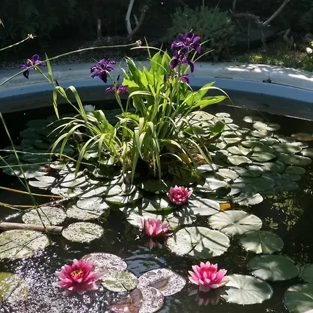 Casa de Campo La Corte Del Macero Castelfranco Emilia