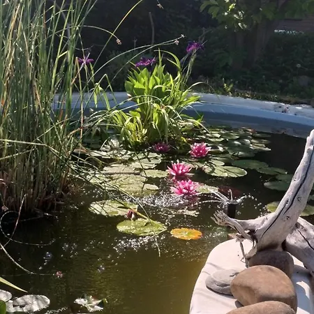 Casa de Campo La Corte Del Macero Castelfranco Emilia