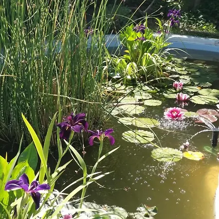 La Corte Del Macero Casa de Campo