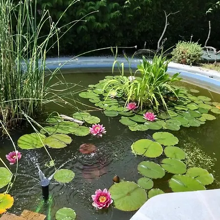 La Corte Del Macero Casa de Campo Castelfranco Emilia