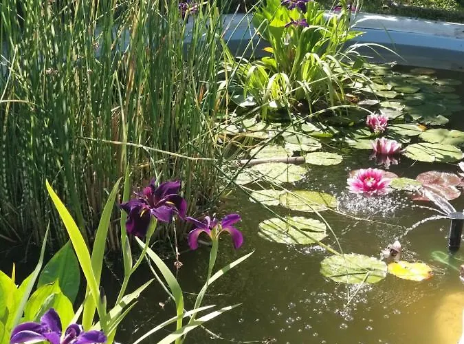 La Corte Del Macero Lantställe